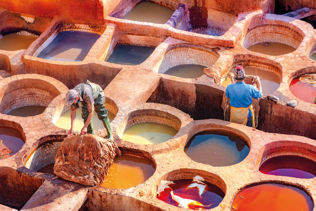 Leather dying in a traditional tannery in the city Fes, Morocco