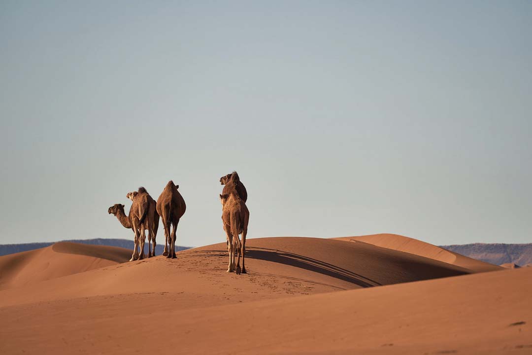 Maroc