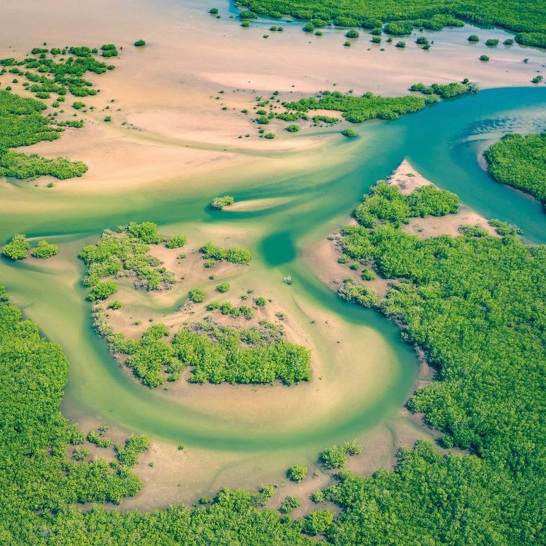 Delta du Siné Saloum Sénégal