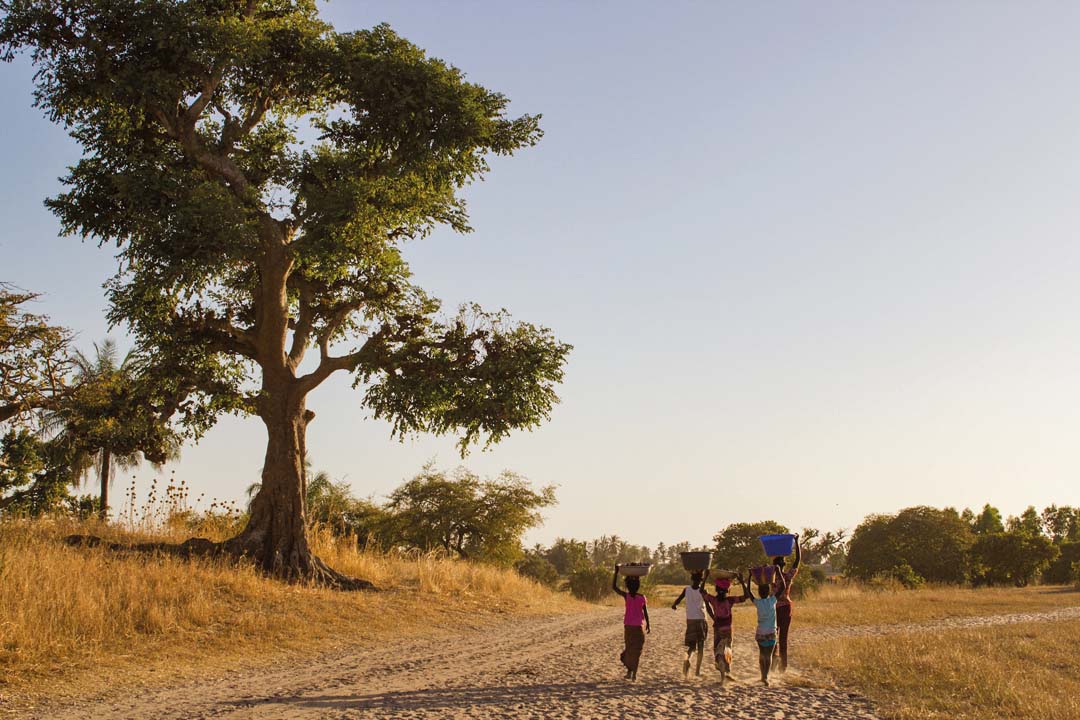 Enfants africains, retour au village, Sénégal